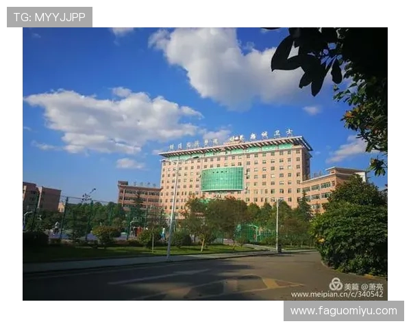 盐城大丰港战队荣誉之路再启航 持续奋斗再创辉煌