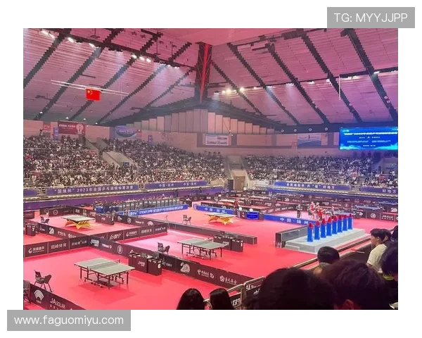 全球瞩目体育赛事全景回顾，聚焦各大赛事精彩瞬间与冠军诞生历程