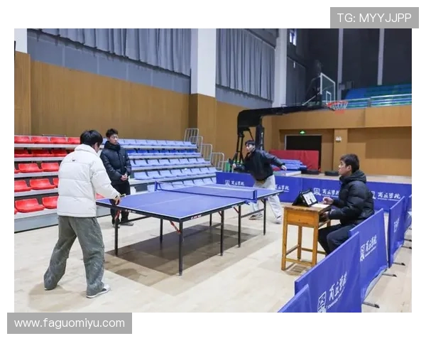 乒乓球的魅力与灵动武汉乒乓球队的训练与比赛揭秘