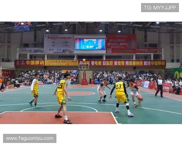 围绕篮球运动探索团队协作激情与竞技魅力全景呈现精彩瞬间全程见证